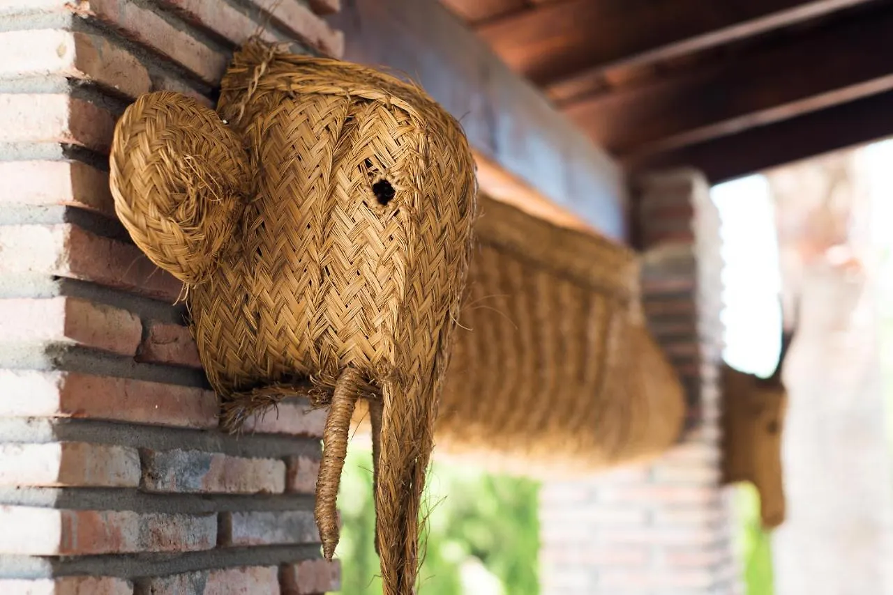 Villa Palm Trees Of The Sun With Pool & Barbecue Pets Friendly-Ven Con Tu Mascota Cártama 0*,